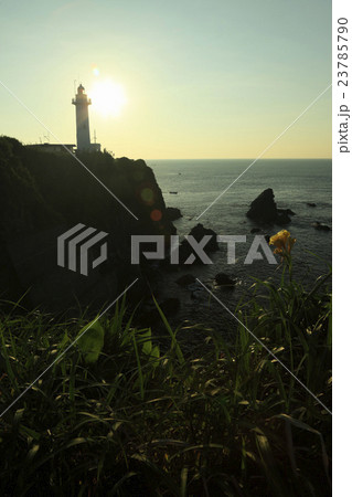 大王埼灯台 23785790