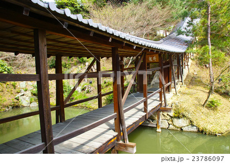 【名勝】高台寺 庭園 臥龍廊 23786097