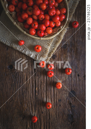 Barbados cherrys 23786225