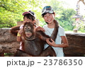 オラウータンと子供たち 23786350