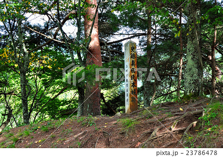 真田氏本城跡：上田市 23786478