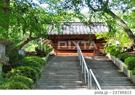 信綱寺:上田市 信綱寺:上田市 23786815