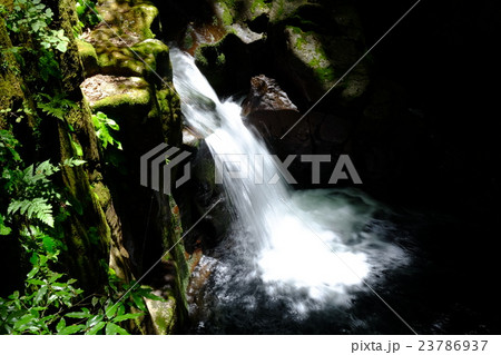 赤目四十八滝　柿壷滝 23786937