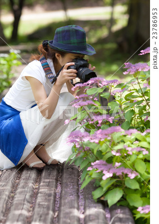 一眼レフカメラで撮影を楽しむカメラ女子の写真素材