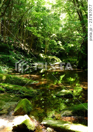 赤目四十八滝 23787077