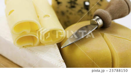 cheese cheese 23788150
