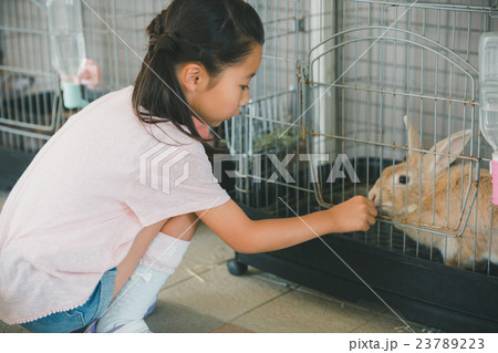 primary school child 23789223