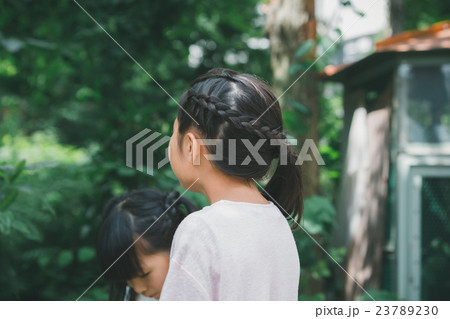 primary school child primary school child 23789230