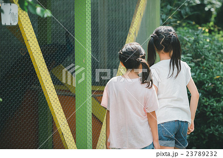 primary school child primary school child 23789232