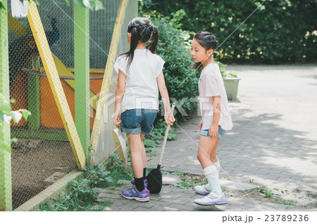 primary school child 23789236