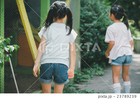 primary school child 23789239