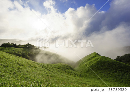 熊本地震後朝靄の中から現れた阿蘇の新緑の大草原と朝日に照らされ反射し輝く大雲海爽やかな早朝の絶景 23789520