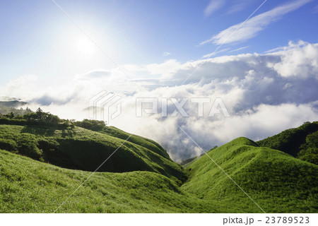 熊本地震後朝靄の中から現れた阿蘇の新緑の大草原と朝日に照らされ反射し輝く大雲海爽やかな早朝の絶景 23789523