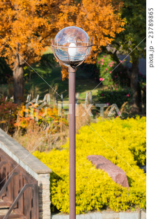 Lamp post in park with autumn. 23789865