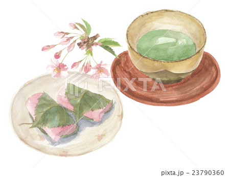 緑茶と和菓子　桜餅 23790360