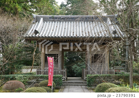 龍潭寺 仁王門  浜松 龍潭寺 仁王門  浜松 23790391