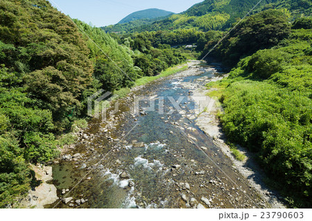 清流イメージ　静岡の興津川 23790603