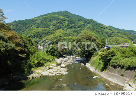 清流イメージ　静岡の興津川 23790617