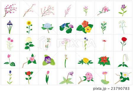 季節の花々2枠 23790783