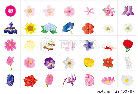 季節の花々3枠 23790787