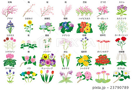 季節の花々名称 23790789