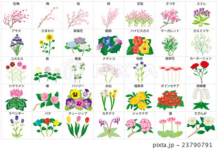 季節の花々枠名称 23790791