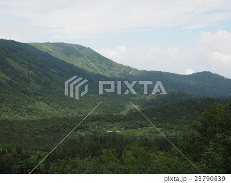 栂池自然園 展望台からの眺め 23790839