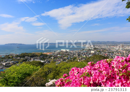 館山城からの館山港 館山城からの館山港 23791313