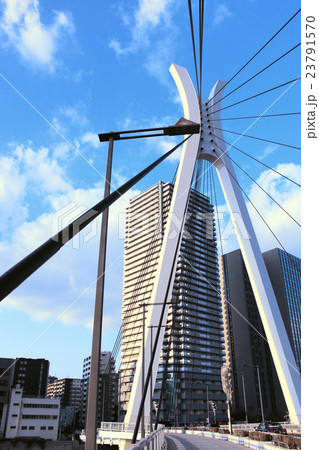 東京の青空に、高くそびえ立つ中央大橋 23791570