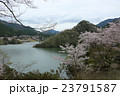 君ヶ野ダム湖の桜 23791587