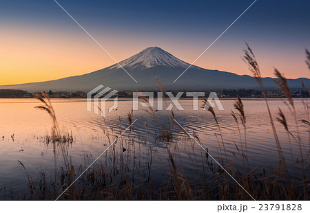 mount Fuji at dawn with peaceful lake 23791828