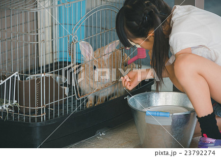 primary school child primary school child 23792274