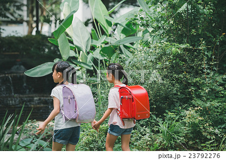 primary school child primary school child 23792276