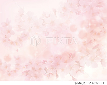桜の背景 桜の背景 23792601