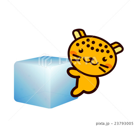 氷と動物シリーズ 23793005