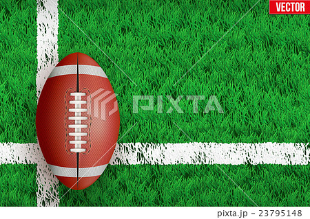 White line on Sport grass field 23795148