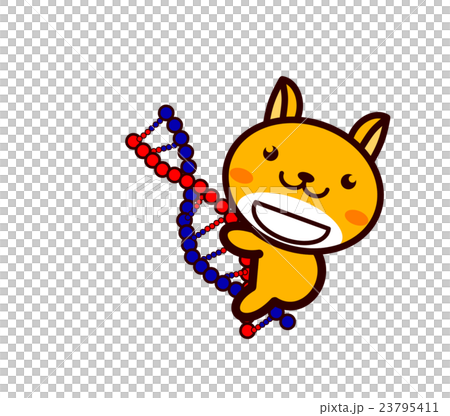 DNA and animal series DNA and animal series 23795411