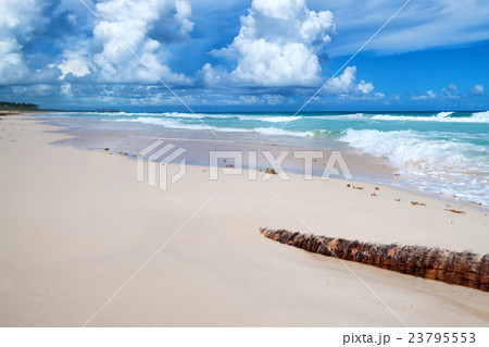 Sunny day on a tropical beach 23795553