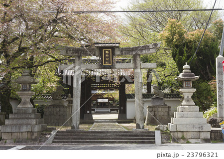 膳所神社 膳所神社 23796321