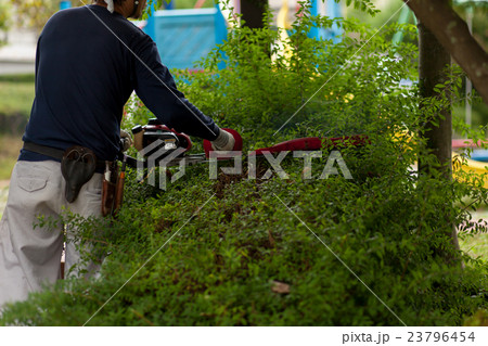 庭師 23796454