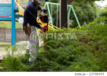 庭師 23796455