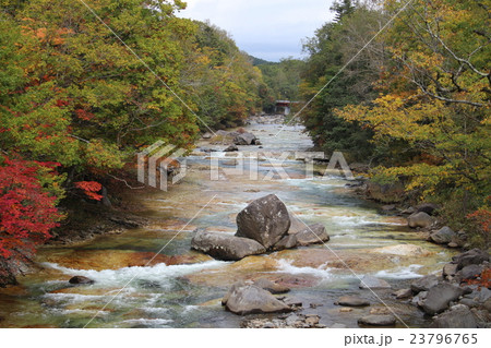 白絹の床と紅葉 北湯沢温泉 の写真素材