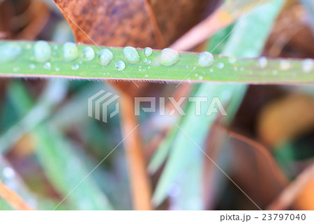 Water  drops on glass 23797040