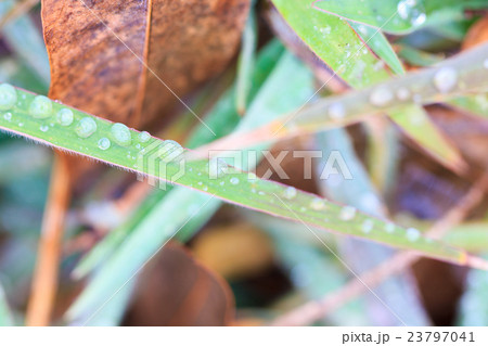 Water drops on glass Water drops on glass 23797041