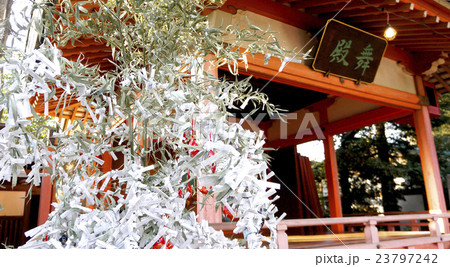 川越　氷川神社 23797242