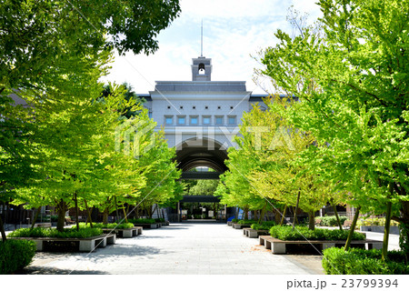 京都大学 吉田南構内 23799394