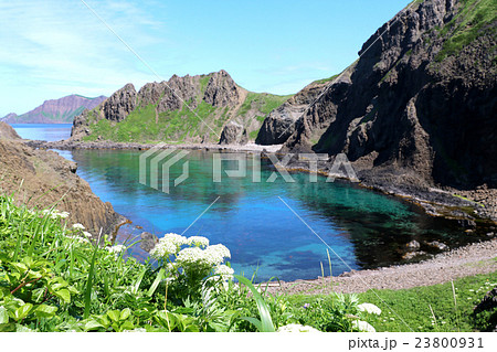 すかい岬　礼文島　北海道 23800931