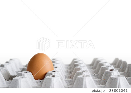 chicken egg in cardboard chicken egg in cardboard 23801041