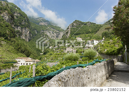 アマルフィの山間に広がるレモン畑 23802152