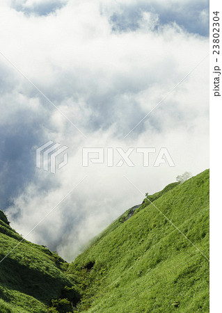 熊本地震後朝靄の中から現れた阿蘇の新緑の大草原と朝日に照らされ反射し輝く大雲海爽やかな早朝の絶景縦 23802304